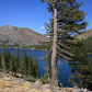 Inyo National Forest