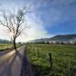 Great Smoky Mountains National Park