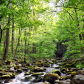 Great Smoky Mountains National Park