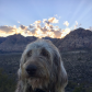 Red Rock Canyon National Conservation Area