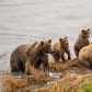 Katmai National Park & Preserve