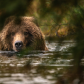 Katmai National Park & Preserve