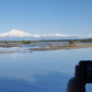 Denali National Park