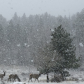 Rocky Mountain National Park 