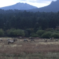 Rocky Mountain National Park 
