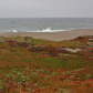 Point Reyes National Seashore