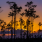 Everglades National Park