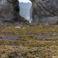 Olympic National Park