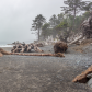Olympic National Park