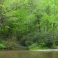 Great Smoky Mountains National Park