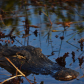 Everglades National Park