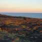 HawaiÊ»i Volcanoes National Park