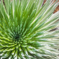 HaleakalÄ National Park