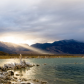 Inyo National Forest 