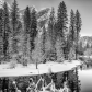 Yosemite National Park