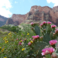 Grand Canyon National Park
