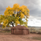 Hubbell Trading Post National Historic Site