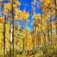 White River National Forest