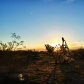 Joshua Tree National Park