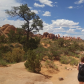 Arches National Park
