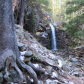 Lewis and Clark National Forest