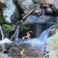 Lewis and Clark National Forest
