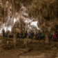 Carlsbad Caverns National Park