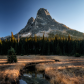 Okanogan-Wenatchee National Forest