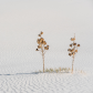 White Sands National Monument