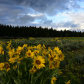Grand Teton National Park