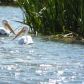Tule Lake National Wildlife Refuge