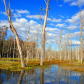 Colonial National Historic Park