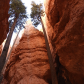Bryce Canyon National Park