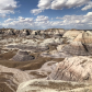 Petrified Forest National Park