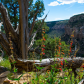 Mesa Verde National Park