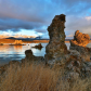 Inyo National Forest 
