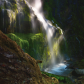Willamette National Forest
