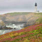 Yaquina Head Outstanding Natural Area