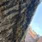 Zion National Park
