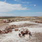 Petrified Forest National Park
