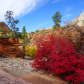 Zion National Park
