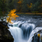 Gifford Pinchot National Forest