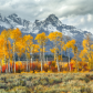 Grand Teton National Park