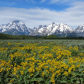 Grand Teton National Park