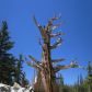 Great Basin National Park