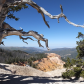 Cedar Breaks National Monument