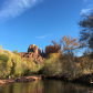 Coconino National Forest