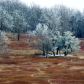 Shenandoah National Park