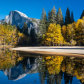 Yosemite National Park