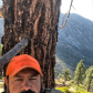 Angeles National Forest